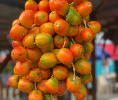 Peach-Palm Fruit